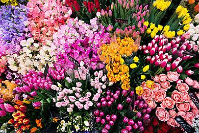 策略游戏《63 Days》Steam页面上线 支持简体中文